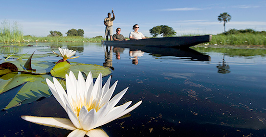 Okavango-Delta
